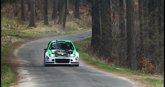 Testy Fiesta Trophy i Fabii WRC
